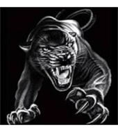 Milton Little League