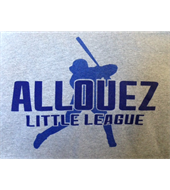 Allouez Boys Baseball