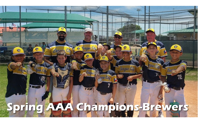 Spring AAA Champs