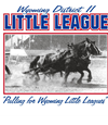 Wyoming Little League District 2