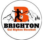 Brighton Baseball (UT)