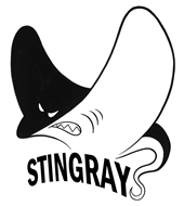 Hunting Ridge Stingrays Summer Swim Team