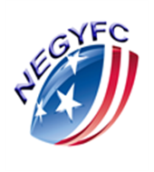Northeast Georgia Youth Football league