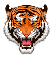 North Jacksonville Sports