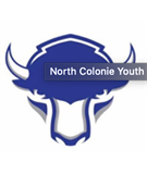 North Colonie Lacrosse