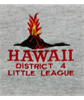 Hawaii District 4 LL