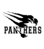 Deltona Panthers Youth Tackle Football and Cheerleading Association Inc.