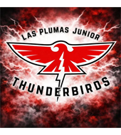 LP Thunderbirds Youth Football and Cheer