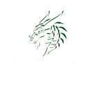 Greene Dragons - JDYFL