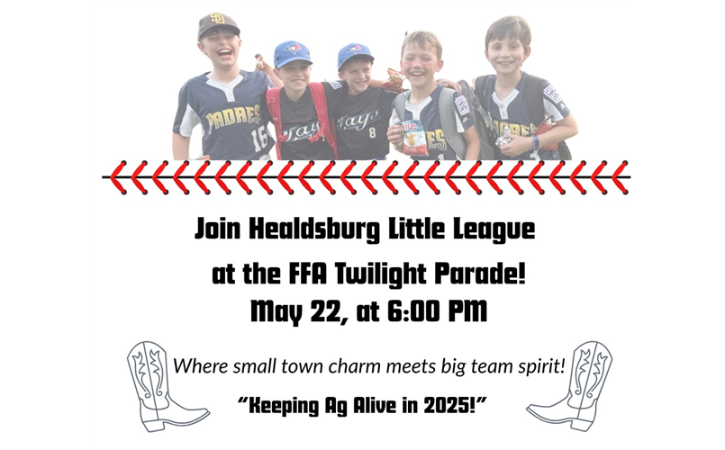 HLL FFA Twilight Parade