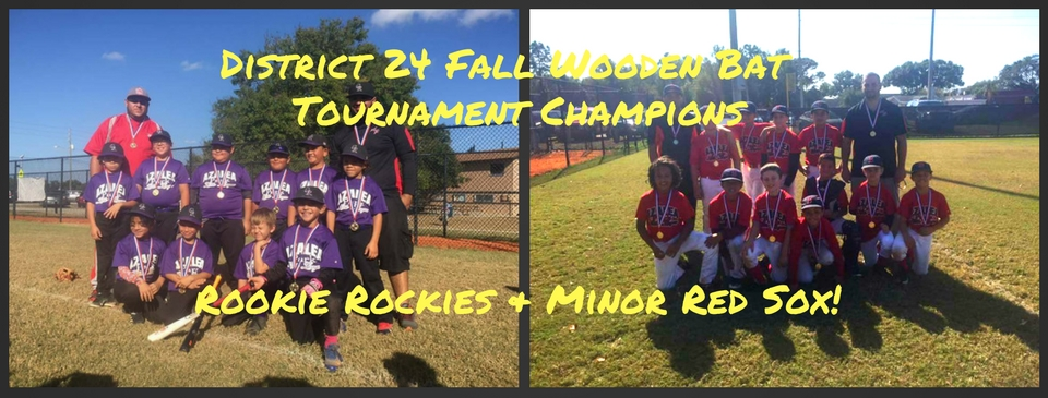 2016 Fall Wooden Bat Champs! Rookie Rockies&Minor Red Sox!