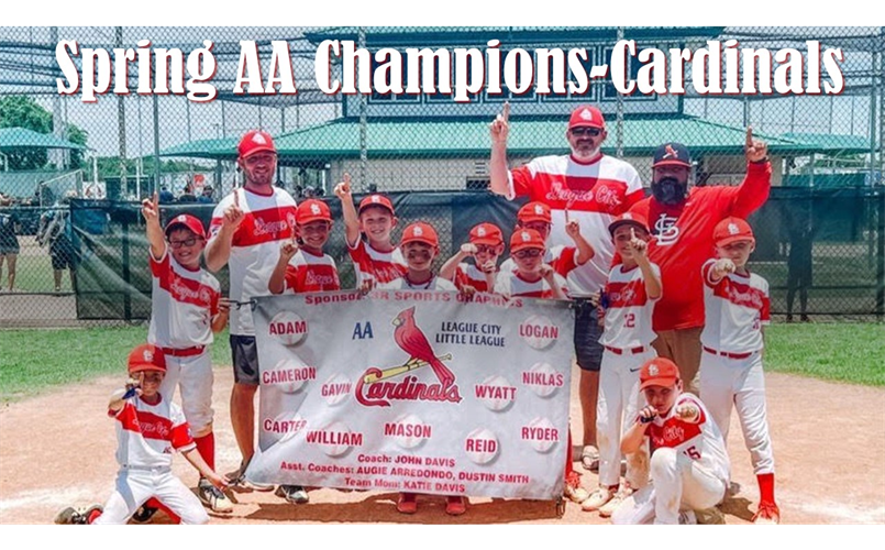 Spring AA Champs