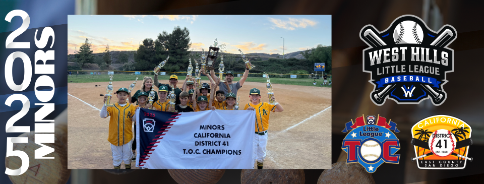 2025 Minors TOC
