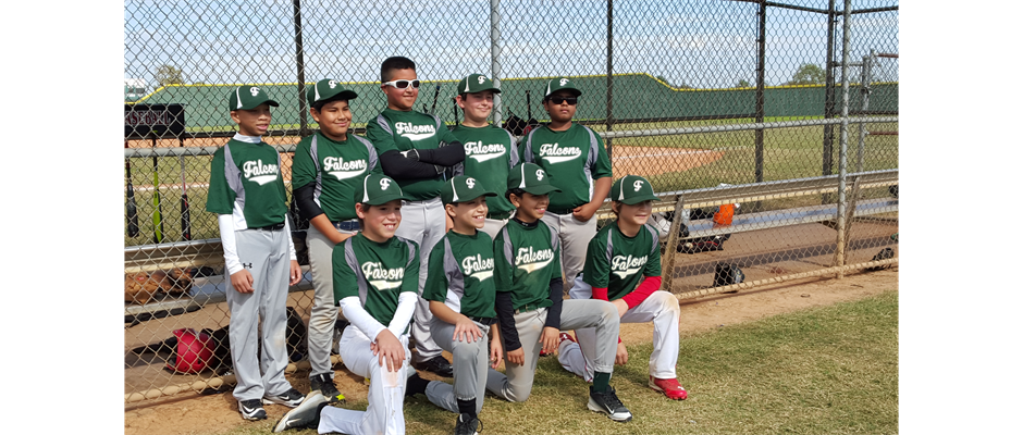 Falcons 11U Team