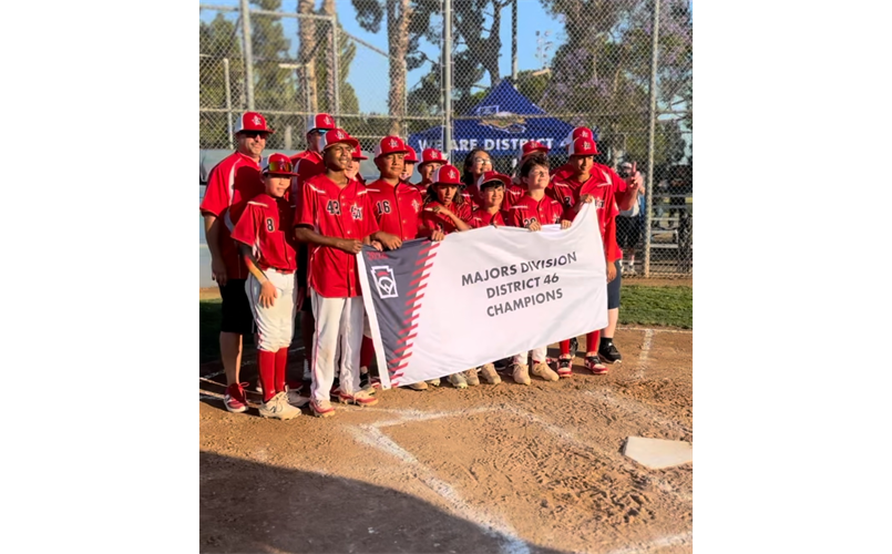 District 46 Little League Champions