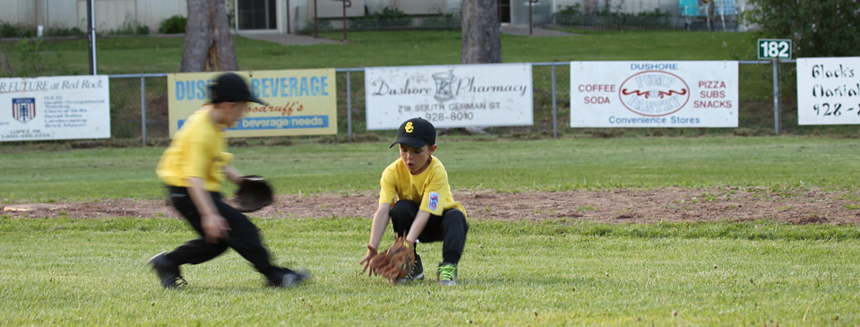 Fielding Skills