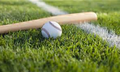 BGM Little League