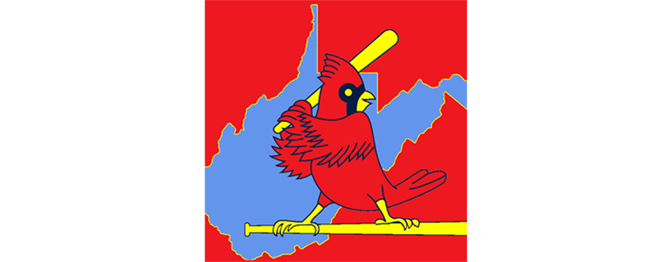 Shop to support Redbirds Baseball!