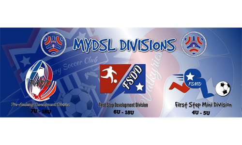 Our MYDSL divisions