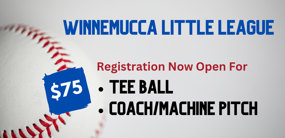 Registration Open For Younger Divisions 