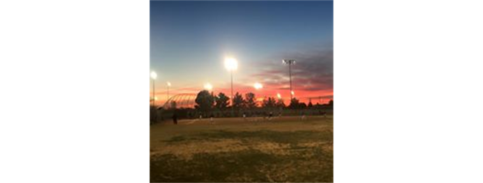 Eastern Fields