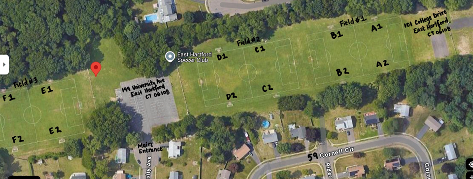 Field Layout