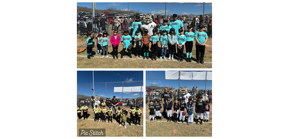 TBall Team Hernandez, Earnest and Weidenthal