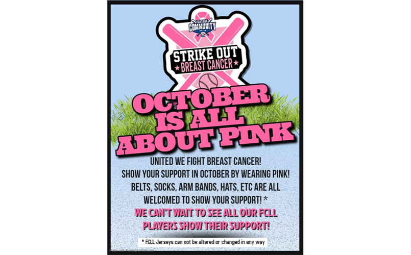 Strike Out Breast Cancer!