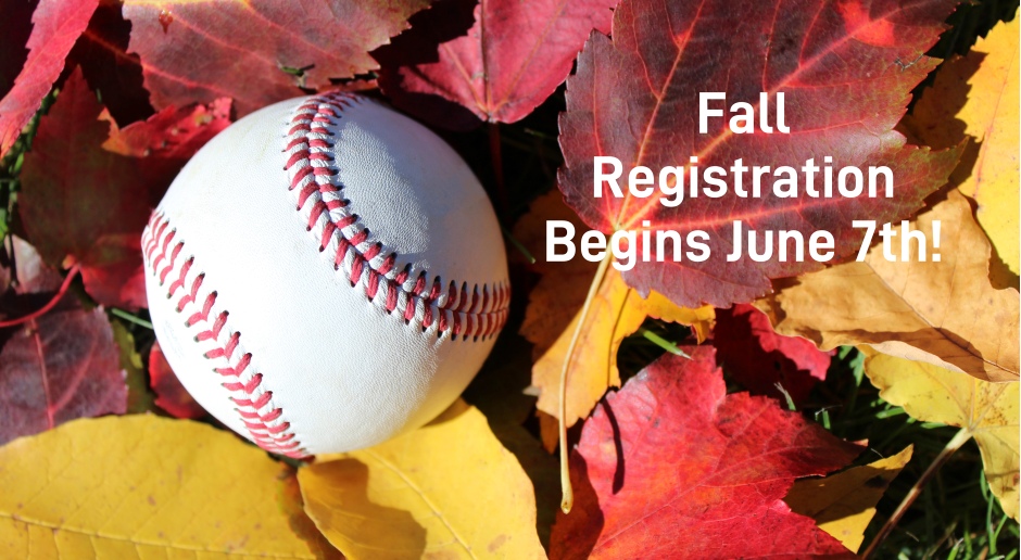 Fall Baseball Year 2!