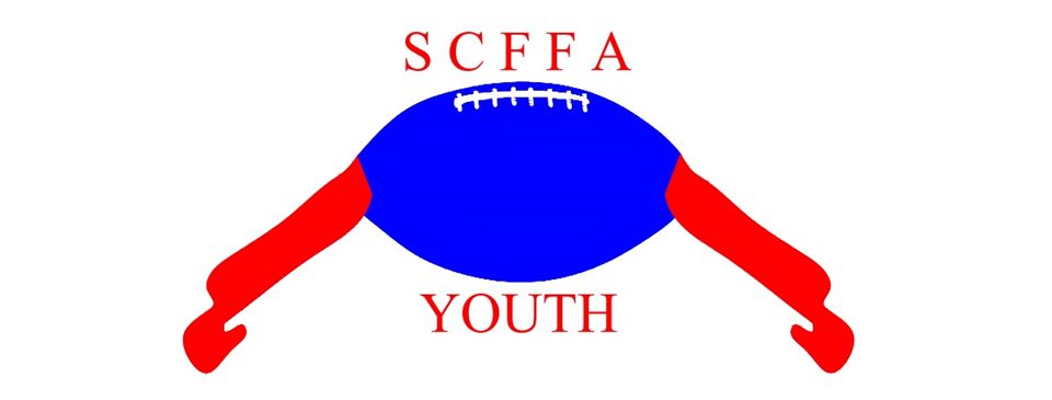 We are proud to introduce Stark County Flag Football Association for youth 3 years old to 14 years old Girls and Boys
