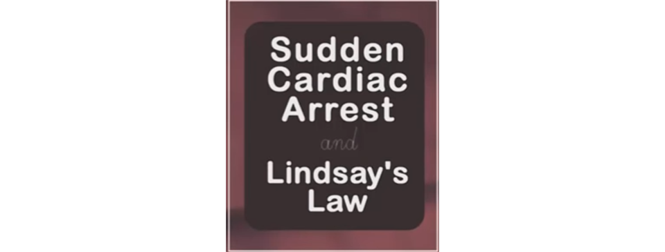 Lindsay's Law Video