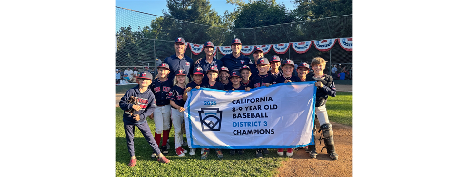 2025 Dist 3 8/9s All Stars Champions Twin Cities LL