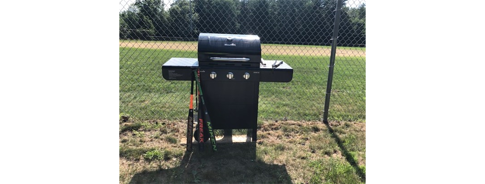 BBQ and Softball