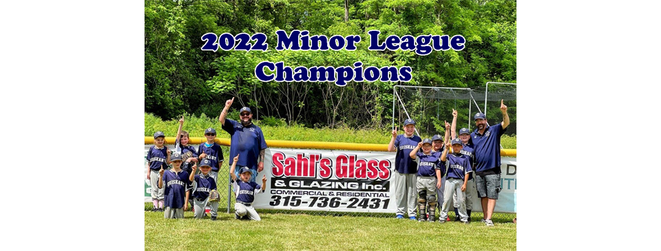 2022 Minor League Champions