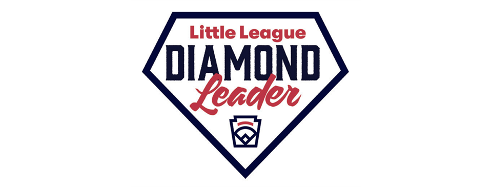Diamond Leader Training