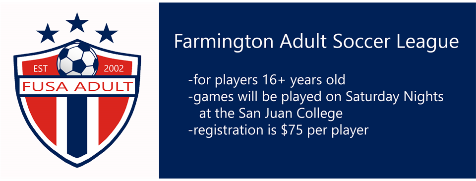 Farmington Adult Soccer League
