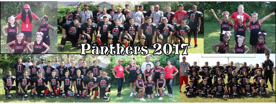 2017 Panthers!