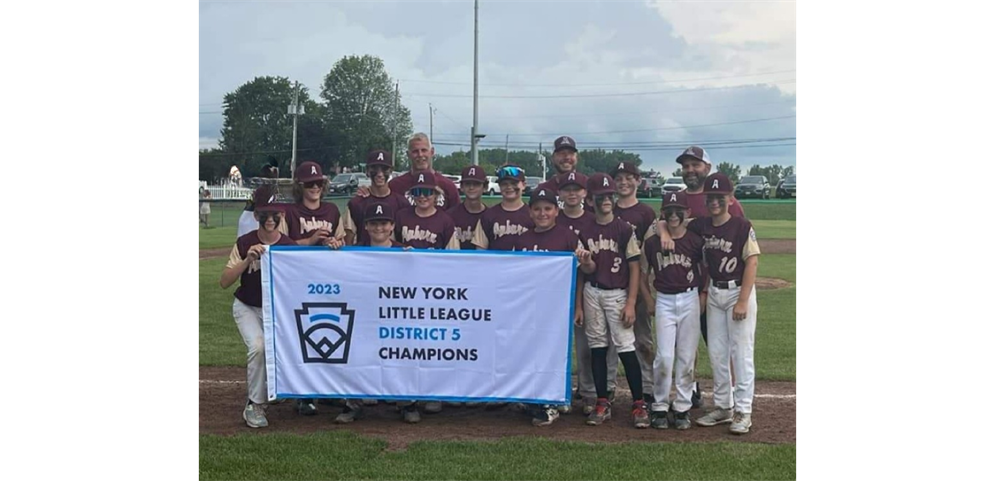 Auburn wins the NY District 5 Little League Championship 