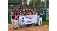 Auburn Little League wins the 2925 District 5 9-11 Championship