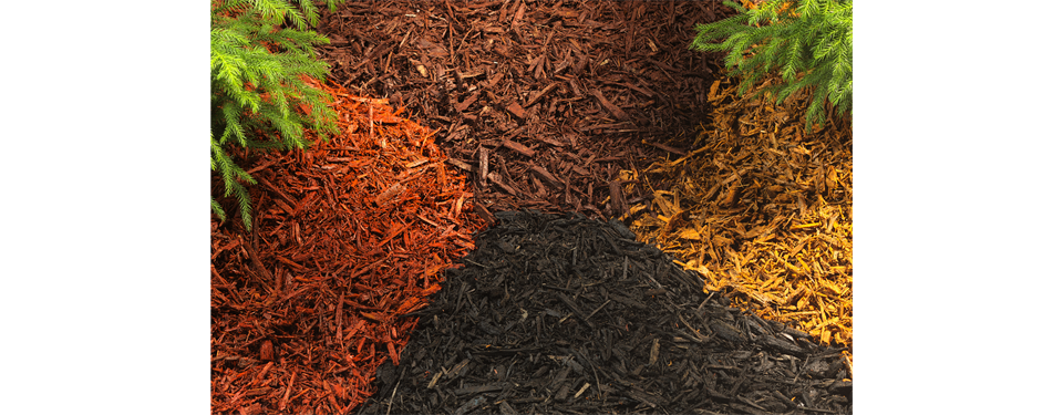 2021 MULCH SALE: ORDER NOW!
