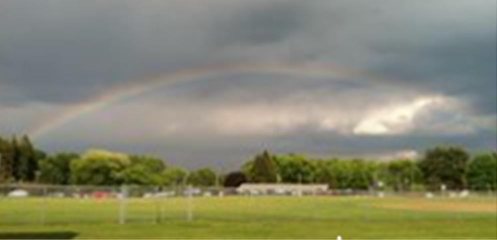 If you build it, he will come...