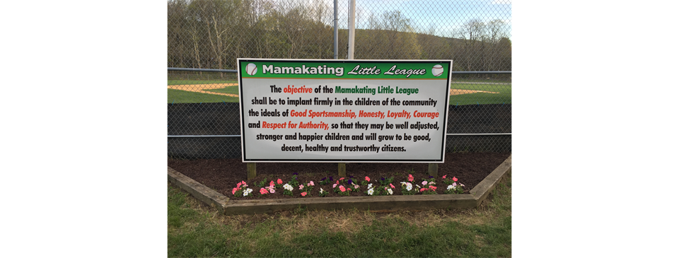 Mamakating Little League