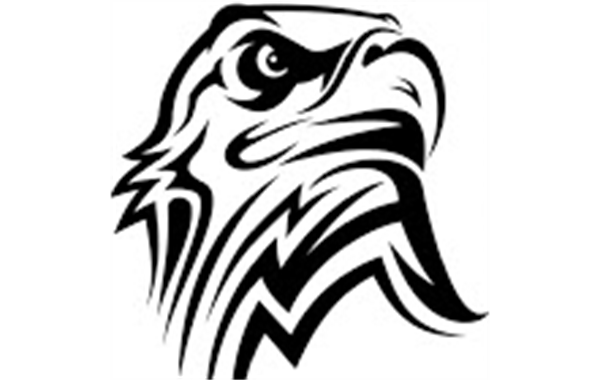 FSK High School Eagles