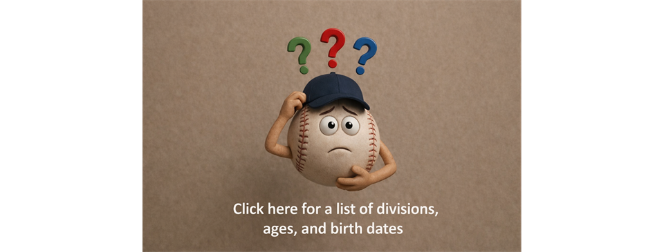 What division should you choose?