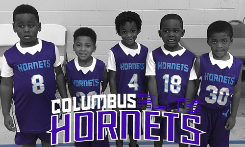 Baby Hornets BKA Lil Stingers