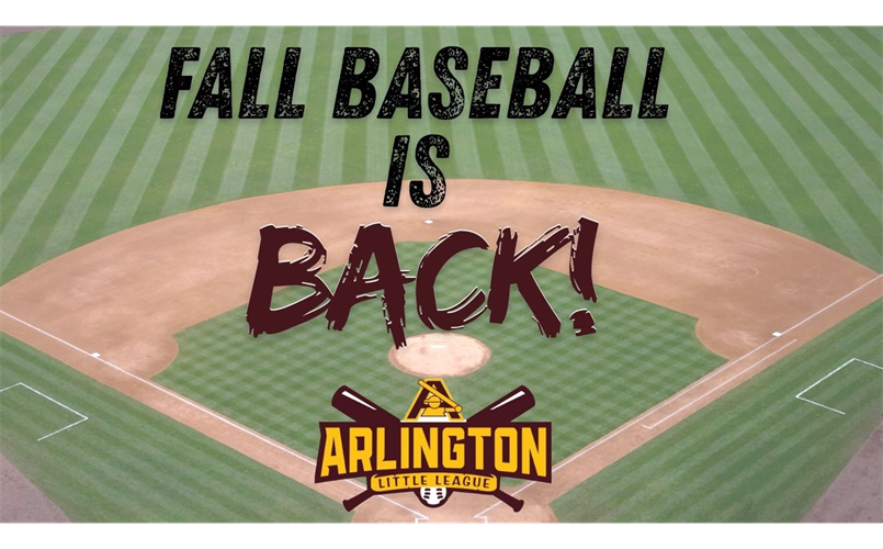 Baseball is Back