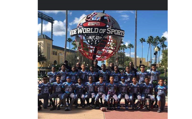 2019 Pee Wee (Division 1)