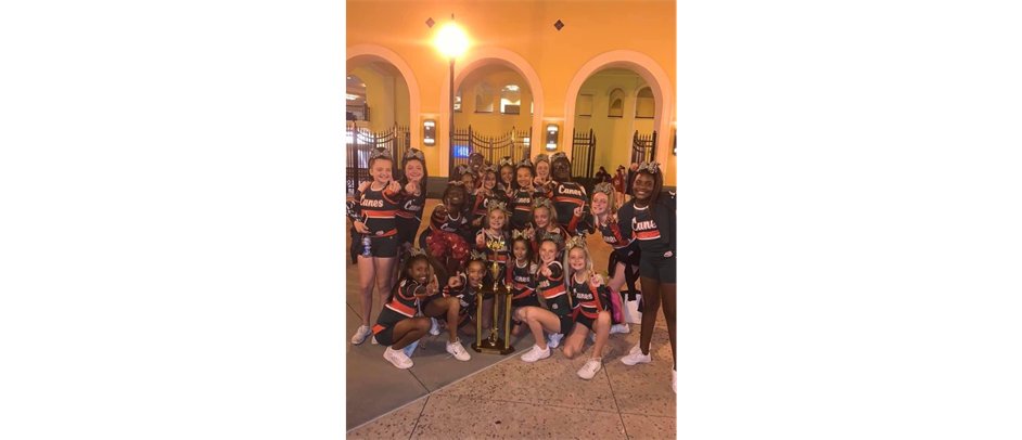 Pee Wee cheer 2019  National champs