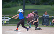 Little League Sponsorship