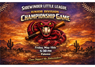Junior Division Championship